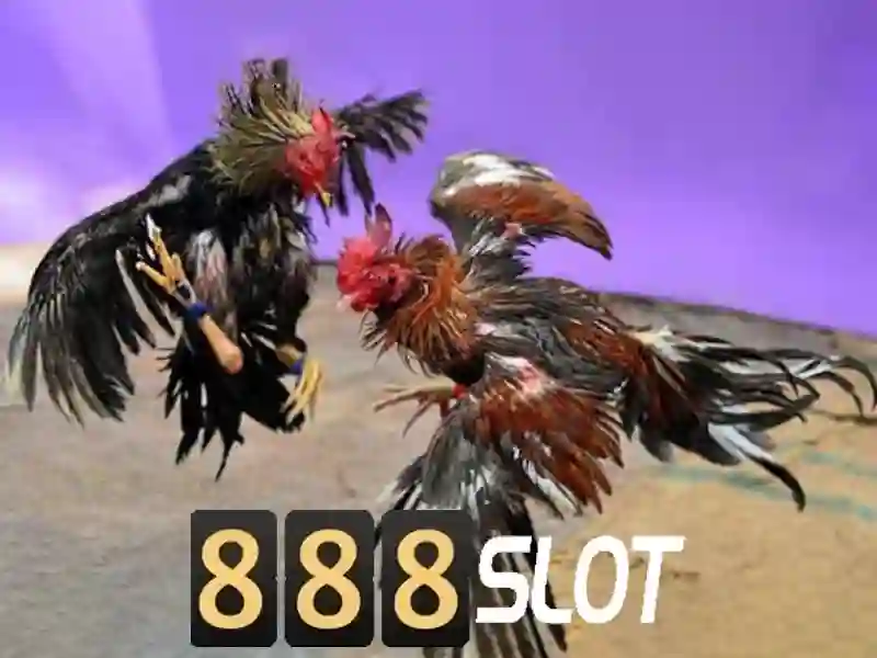 Tính năng nổi bật