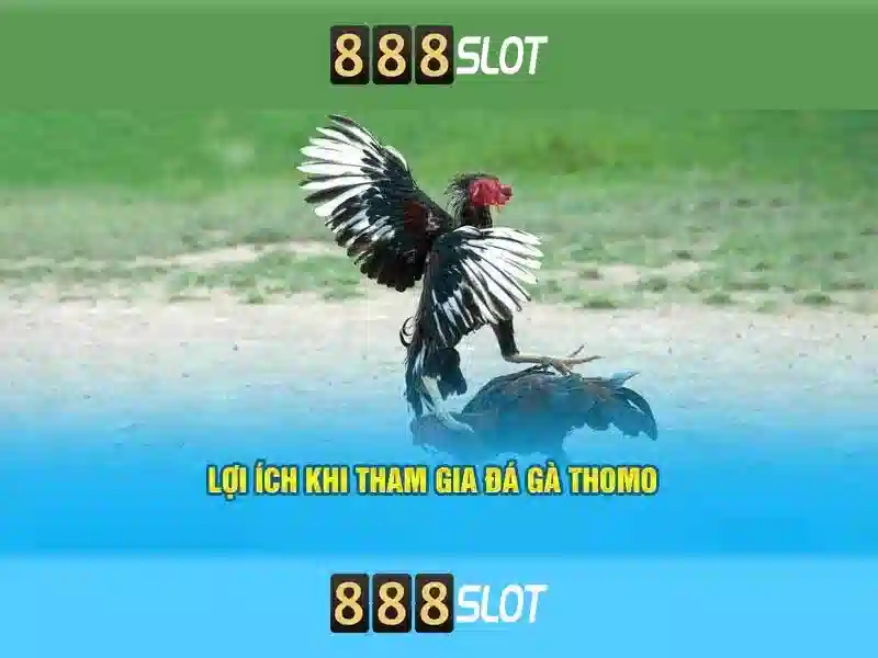 Các trò chơi và máy đánh bạc