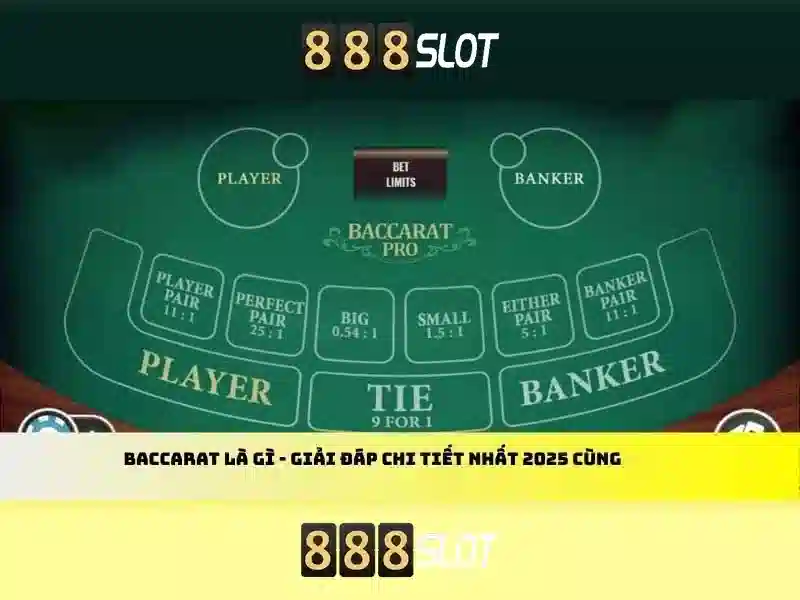 Giới thiệu về 888slot