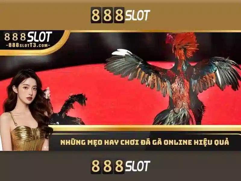 Giới thiệu về 888slot