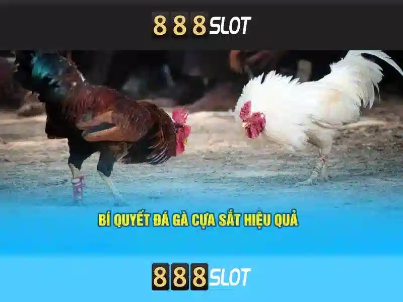 888slot link – Cổng kết nối giải trí và tiện ích cho người chơi Go88