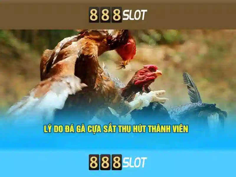 Soi kèo hiệp 1