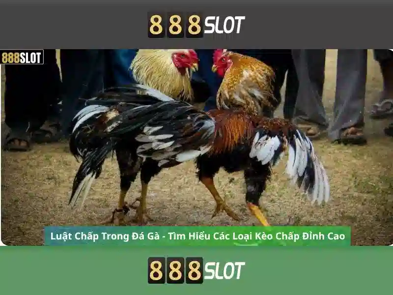 Danh mục trò chơi đa dạng