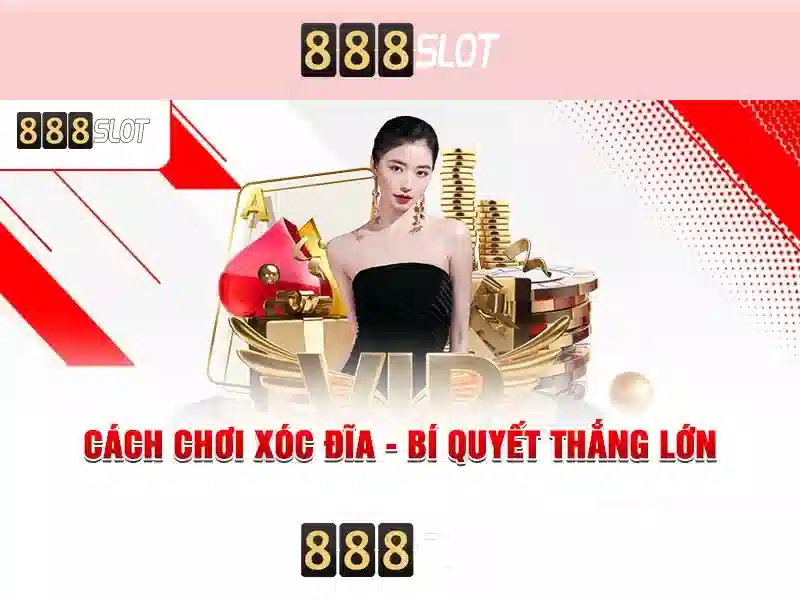 <!--IMG_PLACEHOLDER alt>Trải nghiệm người dùng và phản hồi cộng đồng-->