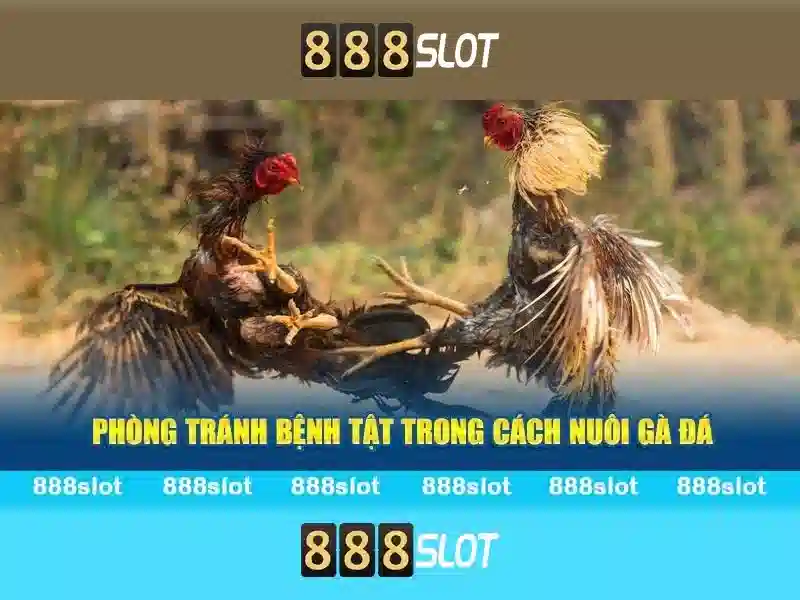 Cải thiện trải nghiệm người chơi với 888slot