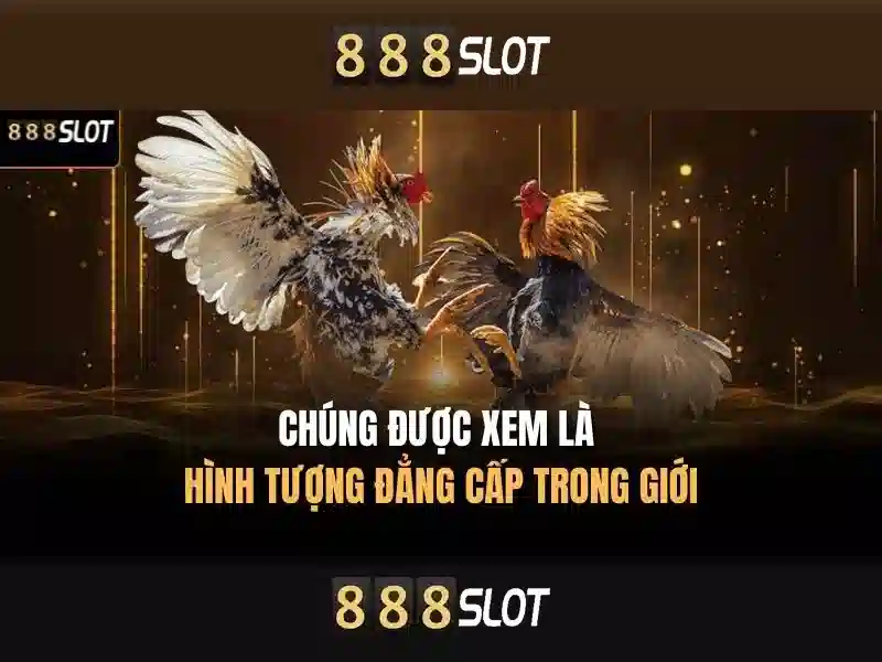 Đăng Nhập