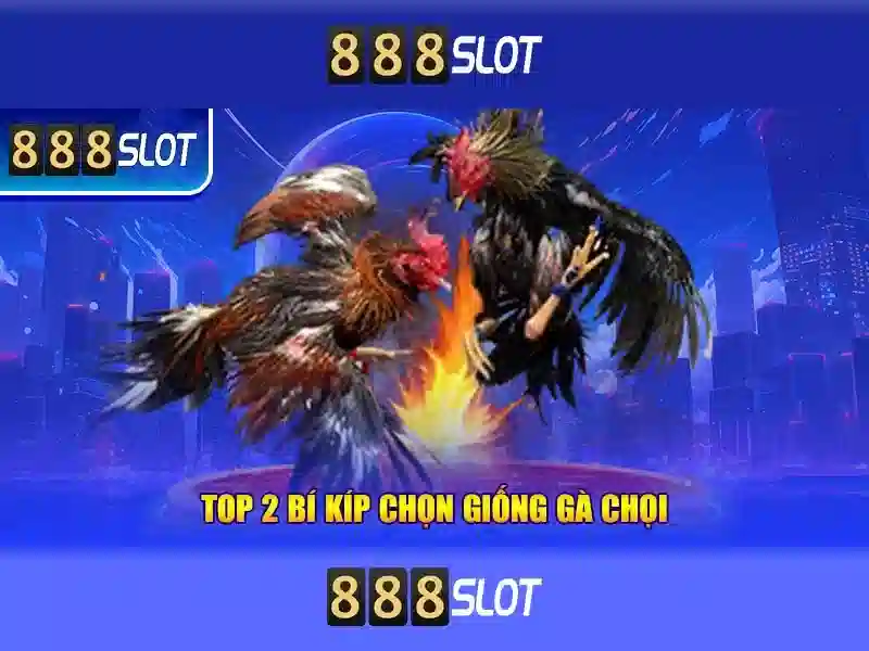 Trải nghiệm người dùng và hỗ trợ