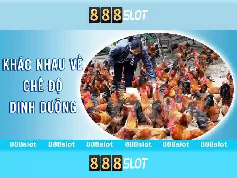 Hình minh họa chat trực tuyến