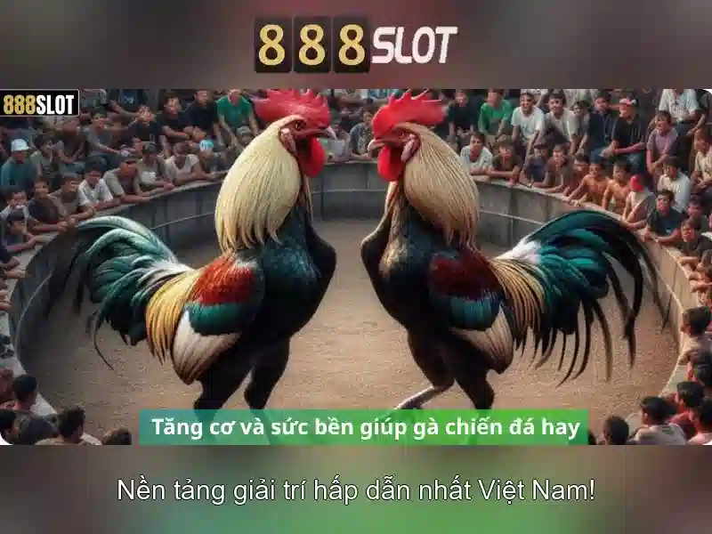 Soi kèo hiệp 1