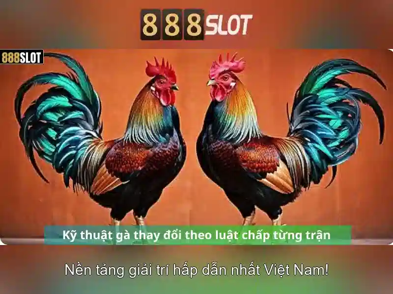 Sản phẩm và dịch vụ cốt lõi của 888slot. com