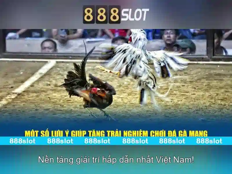 Dịch vụ khách hàng và hỗ trợ 24/7