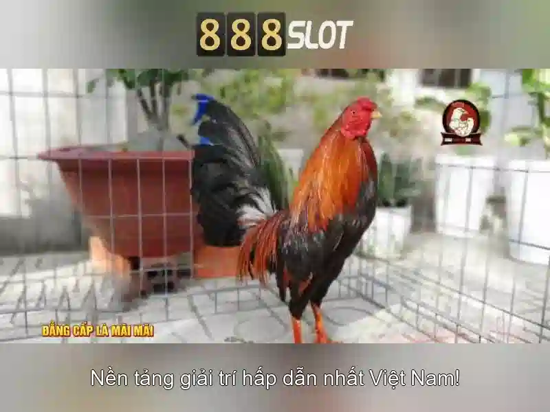 Đăng Nhập