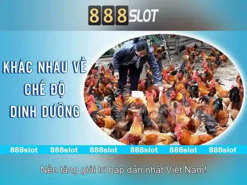 Đăng Nhập