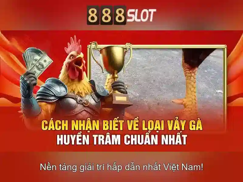 Tính năng và trò chơi